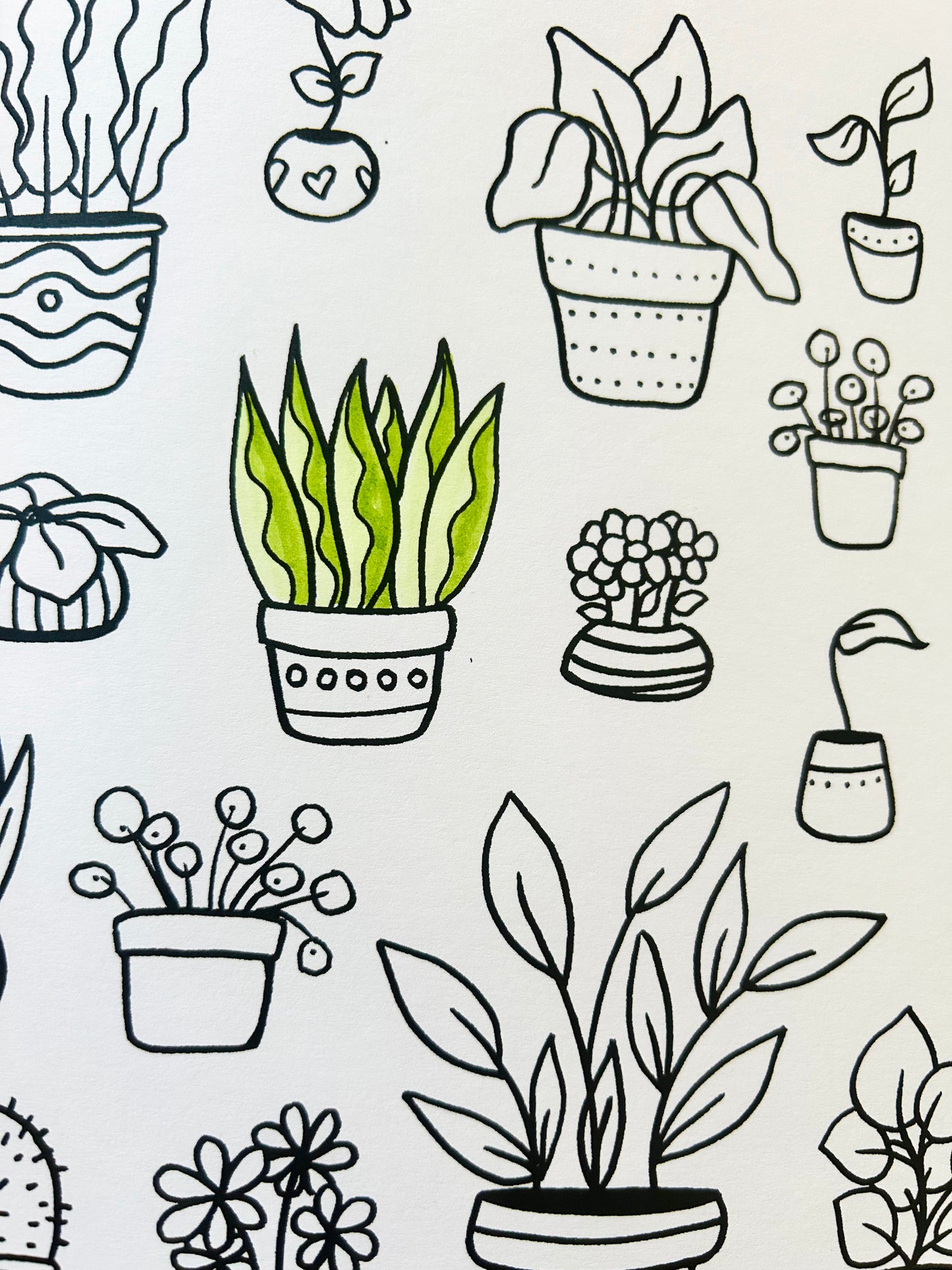 Colouring Book - Slow Garden